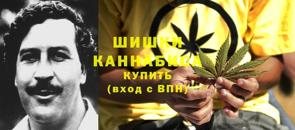 сатива Абдулино